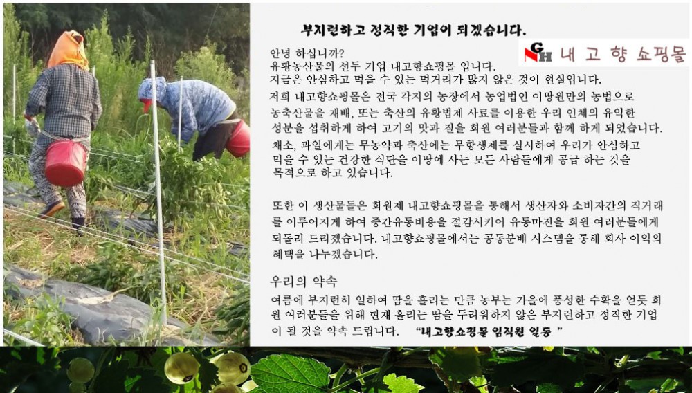 4b69a446853d2906fe6e0ef32da2c236_1572269